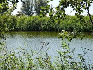 Apartment Groede Umgebung 11