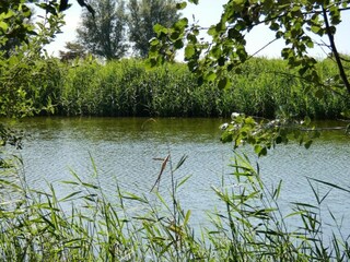 Appartamento Groede Ambiente 22