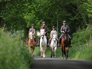 Ferienpark Saint-Médard-d'Excideuil Umgebung 27