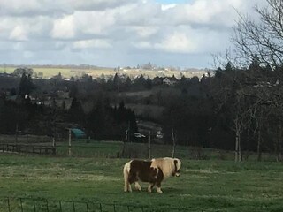 Parque de vacaciones Saint-Médard-d'Excideuil Entorno 30