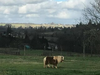 Ferienpark Saint-Médard-d'Excideuil Umgebung 26