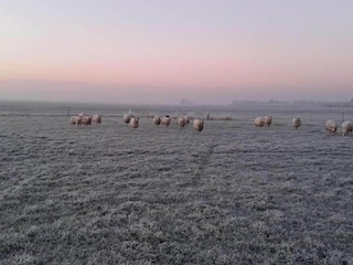 Ferienpark Idskenhuizen Umgebung 20