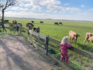 Ferienpark Idskenhuizen Umgebung 19