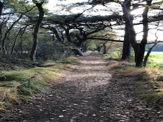 Ferienpark Idskenhuizen Umgebung 20