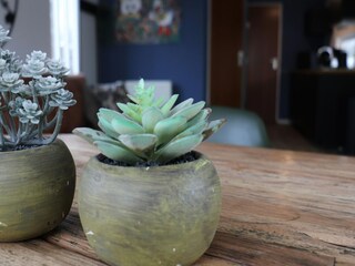 Holiday house Tzummarum  37