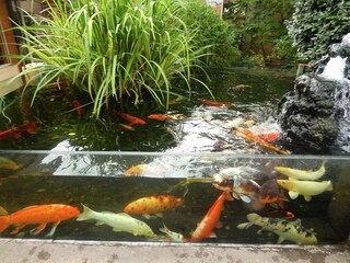 Vakantiehuisje La Roque-Gageac Omgeving 19