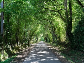 Parc de vacances Danestal  36