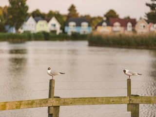 Holiday park Fort-Mahon-Plage Outdoor Recording 6