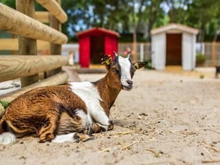 Ferienpark Fort-Mahon-Plage  29