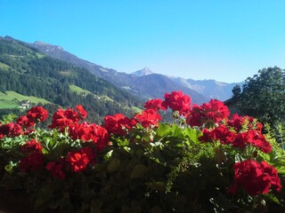 Appartamento per vacanze Zell am Ziller Ambiente 30