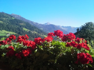 Vakantieappartement Zell am Ziller Omgeving 34