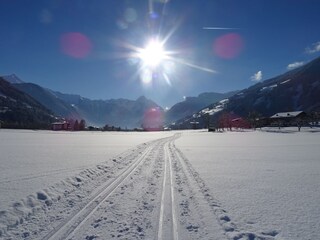 cross country skiing