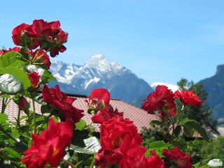 Appartamento per vacanze Zell am Ziller  20