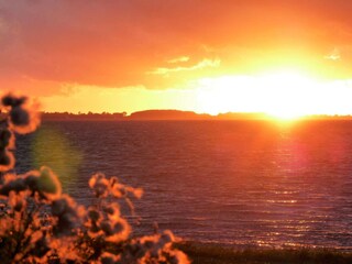 Ferienhaus Vordingborg  24