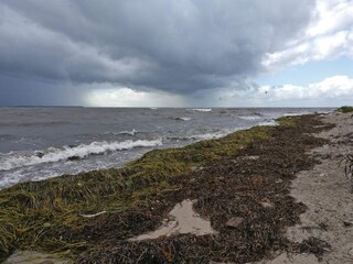 Vakantiehuis Vordingborg  16