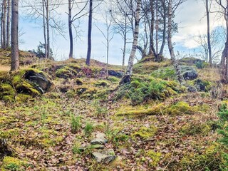 Vakantiehuis Eresfjord  19