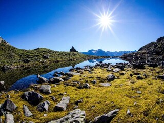 Appartement Neustift im Stubaital Environnement 16