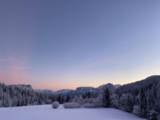 Apartment Neustift im Stubaital Umgebung 21