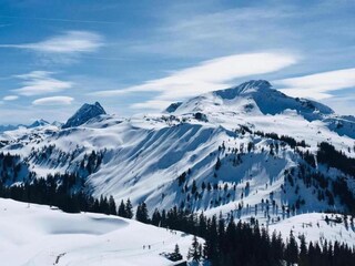 Appartement Neustift im Stubaital Environnement 32