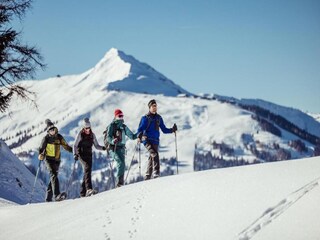 Appartement Neustift im Stubaital Omgeving 41