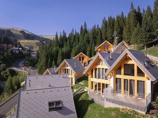 Ferienhaus Schönberg-Lachtal Außenaufnahme 5