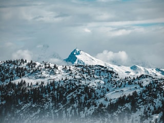 Ferienhaus Schönberg-Lachtal  11