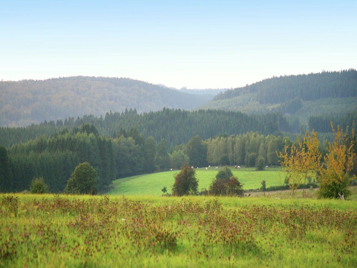 Ferienhaus Maredret Umgebung 26