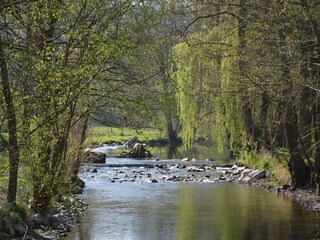 Ferienhaus Maredret Umgebung 37