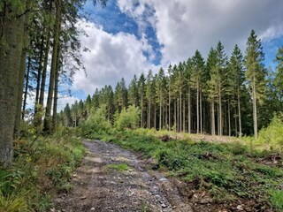 Ferienpark Manhay Umgebung 8