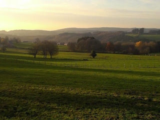 Ferienhaus Erezée Umgebung 37