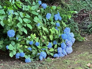 Casa per le vacanze Tourc'h Registrazione all'aperto 15