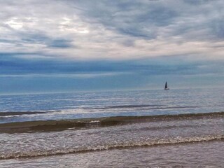 Apartment Wenduine Environment 15