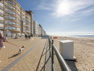 Apartment Middelkerke  19