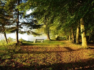 Cottage Anzex Environment 24