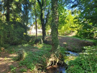 Casa de campo Anzex Entorno 25