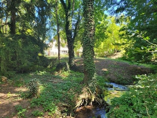 Type de propriété : Chalet Anzex Environnement 35