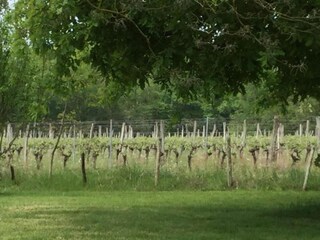 Casa de campo Anzex Entorno 33