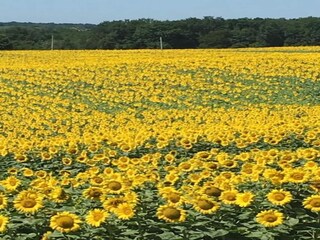 Vakantiehuisje Anzex Omgeving 27
