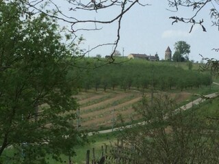 Landhaus Anzex Umgebung 33