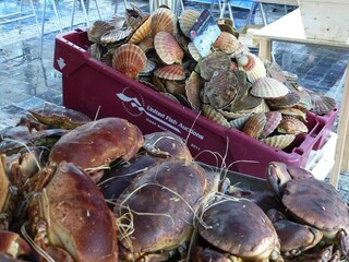 Appartamento Saint-Quay-Portrieux Ambiente 17