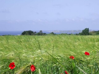 Maison de vacances Trédrez-Locquémeau Enregistrement extérieur 3