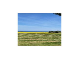 Vakantiehuis Trédrez-Locquémeau Buitenaudio-opname 8