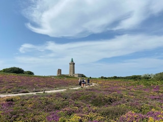 Ferienhaus Plurien Umgebung 17