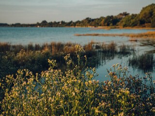 Parc de vacances Arzon Environnement 16