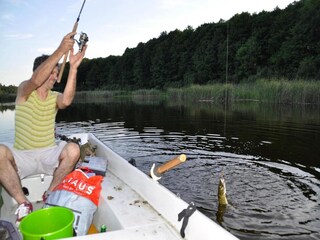 Vakantiepark Grzybowo Omgeving 18