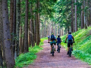 Parco vacanze Grzybowo Ambiente 23