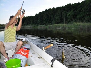 Parco vacanze Grzybowo Ambiente 18