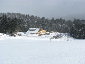 Ferienwohnung Dreisessel - Neureichenau - image1