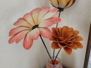 Appartement Splitska  29