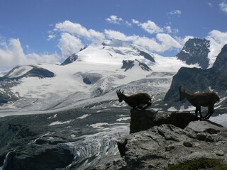 Appartement Saas-Fee Omgeving 14
